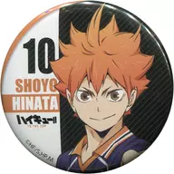 HINATA SHOYO "Haikyu! TO THE TOP Hyakki Yagyo in Namja town metal badge Collection"