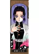 Shinobu KOCHO' Demon Slayer: Kimetsu no Yaiba Esatsu metal badge Dai-2'