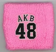 AKB48 リストバンド 「AKB48 2013 真夏のドームツアー～まだまだ、やらなきゃいけないことがある～」 二本柱の会限定3点セット購入特典