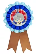 瀬名泉 ロゼットvol.2 「あんさんぶるスターズ!」