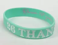 安室奈美恵 ラバーバンド(ミントグリーン) 「WE LOVE NAMIE HANABI SHOW supported by セブンイレブン(2019)」