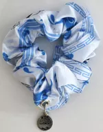 Shushuai 忘機 "Petition Order"