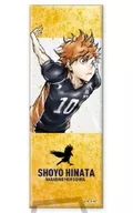 日向翔陽 「ハイキュー!! トレーディングロング缶バッジ 激闘!!」