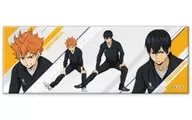 A. Shōyō Hinata & Kageyama Tobio "Haikyu!!! Trading Long metal badge Warming!"