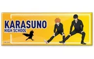 B. HINATA SHOYO & Kageyama Tobio "Haikyu!!! Trading Long metal badge Warming Up!"
