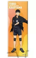 Kageyama Tobio "Haikyu!!! Trading Long metal badge Uniform"