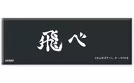 Fly "Haikyu!!! Trading Long metal badge Banner"