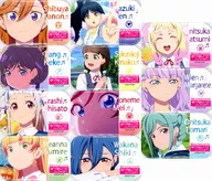 Conjunto de 11 tipos "Love Live! Superstar! O. A. M. C. Can Badge Collection"