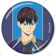 影山飞雄排球少年！集换式Ani-Art第4弹金属徽章