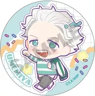 Hajime Umemiya "Wind Breaker Trading metal badge American Pop"