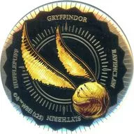 "Harry Potter, Distintivo de Ouro, Quidditch."