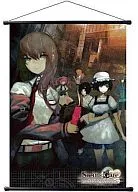 Key Visual B2 Tapestry 「 STEINS;GATE 」
