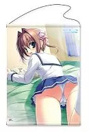 Asakura Yuma B2 Tapestry 「 D.C. II To You - Da Capo II - To You 」