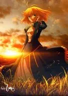 Saber Draw B2 Tapestry "Fate/Zero Blu-ray Disc Box II" Sofmap Purchase benefits