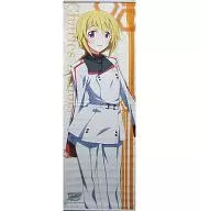 シャルル・デュノア 等身大タペストリー 「IS＜インフィニット・ストラトス＞」 キャラアニ.com限定