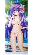 藤林杏等身大掛畫VA採購部出張所2013 Summer in Gamers