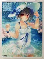 柚原專用B2交叉掛畫「ToHeart愛心派對」C84周邊