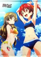 Akane Isshiki & Shinomiya Himawari Illustrated B2 Tapestry "Blu-ray/DVD VIVIDRED OPERATION" Gamers all roll Purchase benefits