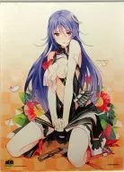 熊本城(開城Ver.) B2タペストリー 「城姫クエスト」 C86グッズ