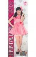 渡邊麻友(AKB48)全身掛畫(2013年)AKB48 CAFE&SHOP限定