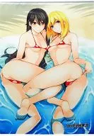 Izumi Tengoku & Ishigami Toratetsu pintó un tapiz de tamaño B2 "PS Vita Soft Kurogane : Una historia de una princesa - Una noche -" Sofmap Bonus "
