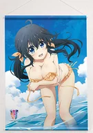 Akiko Tamaki B2 Tapestry "And You Thought There Is Never a Girl Online?"