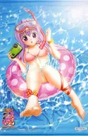 Tokugawa Ieyasu Painted B2 Tapestry "PS Vita Soft Battle Girls ～ LEGEND BATTLE ～" WonderGOO Purchase benefits