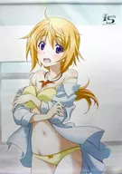 Charlotte Dunois B2 Tapestry "IS "