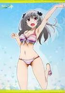 Categoria : Amakawa Maihime B2 Tapeçaria "Blu-ray/DVD Qualidea Code" Toranoana Full Roll Purchase benefits