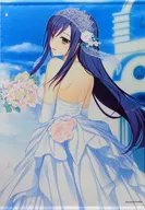 Narusawa 律佳 B2 Tapestry "Seiori Yumemirai" Character12015 Goods