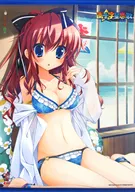 Kanori 布志名 B2 Tapestry "Nanjyuboshi Koiuta" Akihabara Dengai Festival 2013 SUMMER in Shinjuku Goods