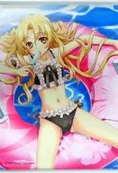 イアリティッケ B2 Tapestry "Shinkyoku Sokai Polyphonica After School"