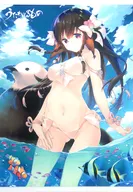 Rulutieh Drawn B2 Cross Tapestry "Utawarerumono: Itsuwari-no Kamen" C94 Goods