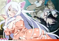 羽川翼＆ブラック羽川 A2タペストリー 「猫物語」