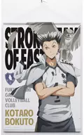 兎光 Taro B2 Tapestry "Haikyu!"