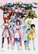 Cluster B2 Tapestry "PS4 Soft New SAKURA WARS" Animate Purchase benefits