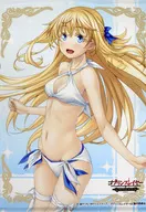 Megami Kan B2 Tapestry "Goblin Slayer -GOBLIN'S CROWN -" theatrical goods