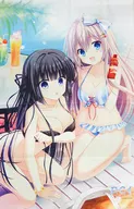 [单品]鷺澤有里栖&常坂二乃新插图B2挂画「PS4/Switch软件D.C.4～初音岛4～完全生产限定版」捆绑特典