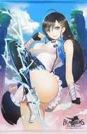 [A la carte] Pilon B2 Tapestry "PS4/Switch Soft BLADE ARCUS Rebellion from Shining -Premium Fan Box -" WonderGOO Purchase benefits