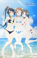 Akeno & Mathiro & Moeka B2 Tapestry "High School Fleet 5.1 ch Blu-ray Disc BOX" Gamers Purchase benefits