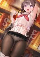 Miku Hamada (B : Mallas ver) GAKAKU Collection B2 Tapiz 20 "Ombligo x Mallas"