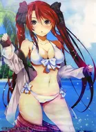 "PS4/Switch Soft DEAD OR SCHOOL" WonderGOO bonus for B2 tapestry with Hisako drawing