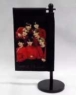 BTS' mini flag "BTS MAP OF THE SOUL ON : E"