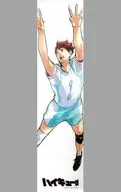 Toru Oikawa 2m Tapestry "Haikyu!" Jump Character Kucho ズストア only