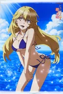 Shokuhou Misaki original B2 Tapestry "Blu-ray/DVD A Certain SCIENTIFIC Railgun T Vol. 1-4" Gamers linked Purchase benefits