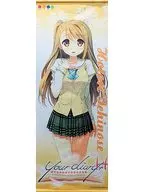 Ichinose Tapeçarias de tamanho real "seu diário + H" edição limitada de sofmap