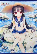 Hachiroku B2 Tapestry "Switch Soft Maitetsu -pure station - collector's edition" Trader Purchase benefits