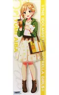 Yumi Aiba Whole Body B2 Half Tapestry "idol Master Cinderella Girls"