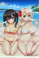 B2 Tapiz con ilustraciones de Norita "Sentai Bakumatsu Imon Last Cavalier" character1 2016 goods