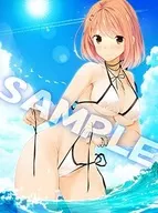 Toya Mizusaki B2 Colección de trajes de baño de tapices "Hermanas Cautivas"